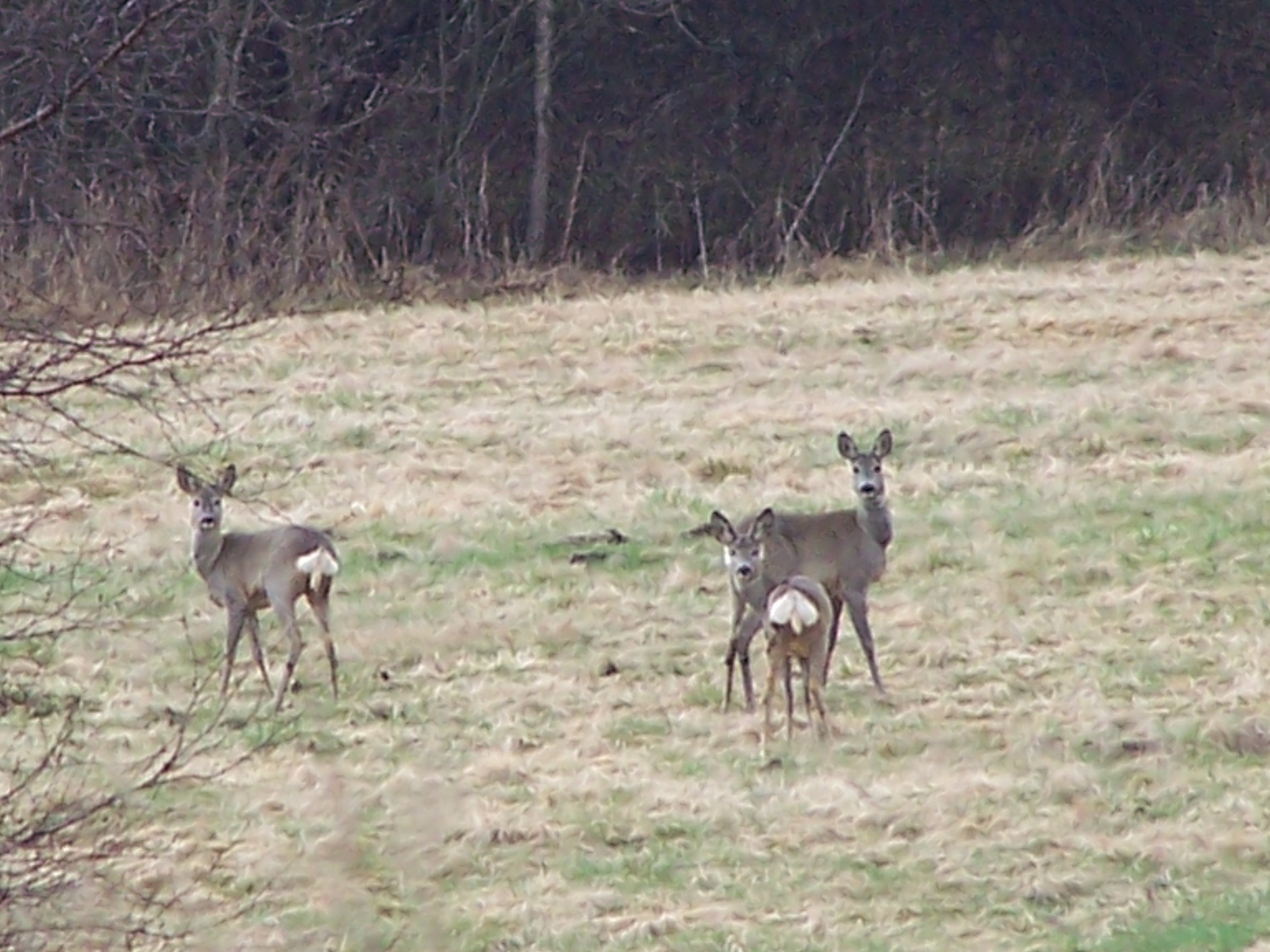 100_4010.jpg