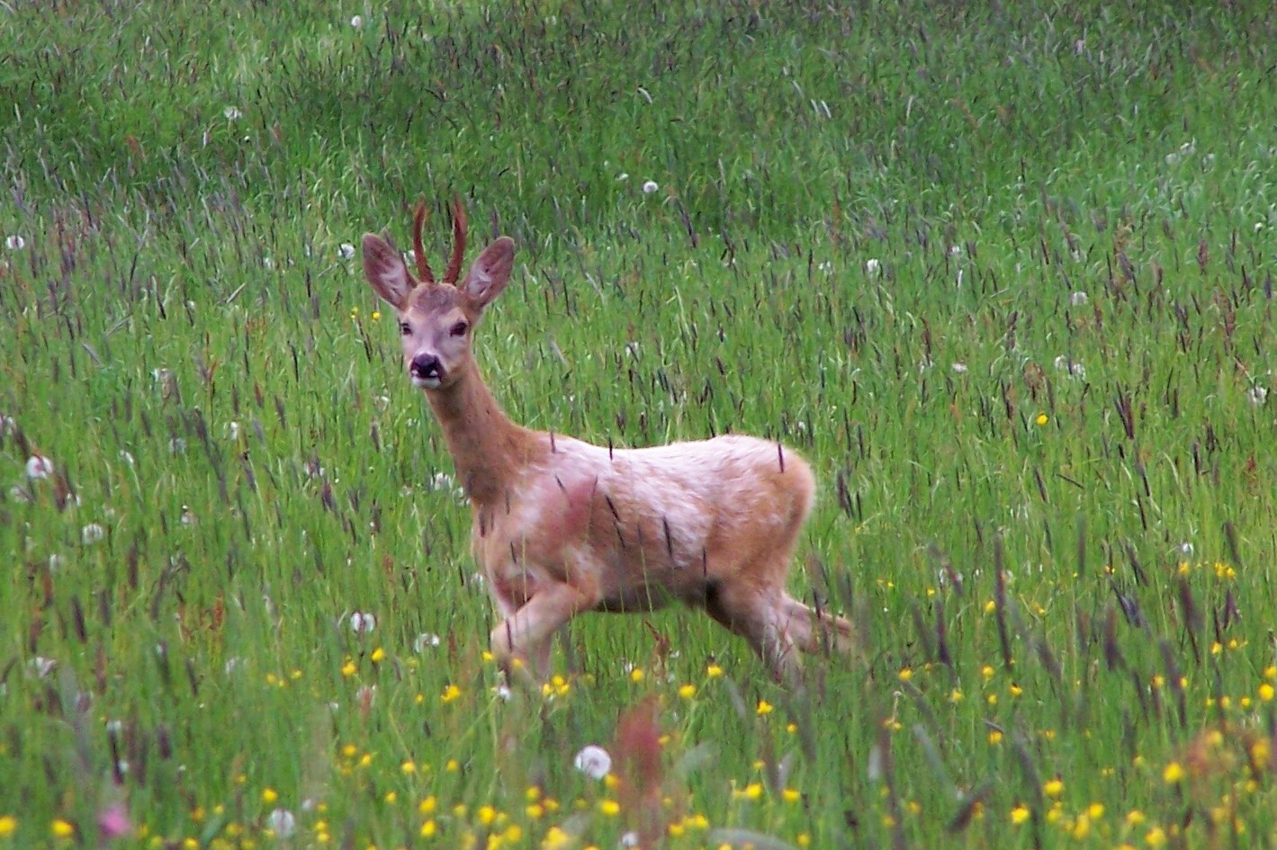 100_4895.jpg