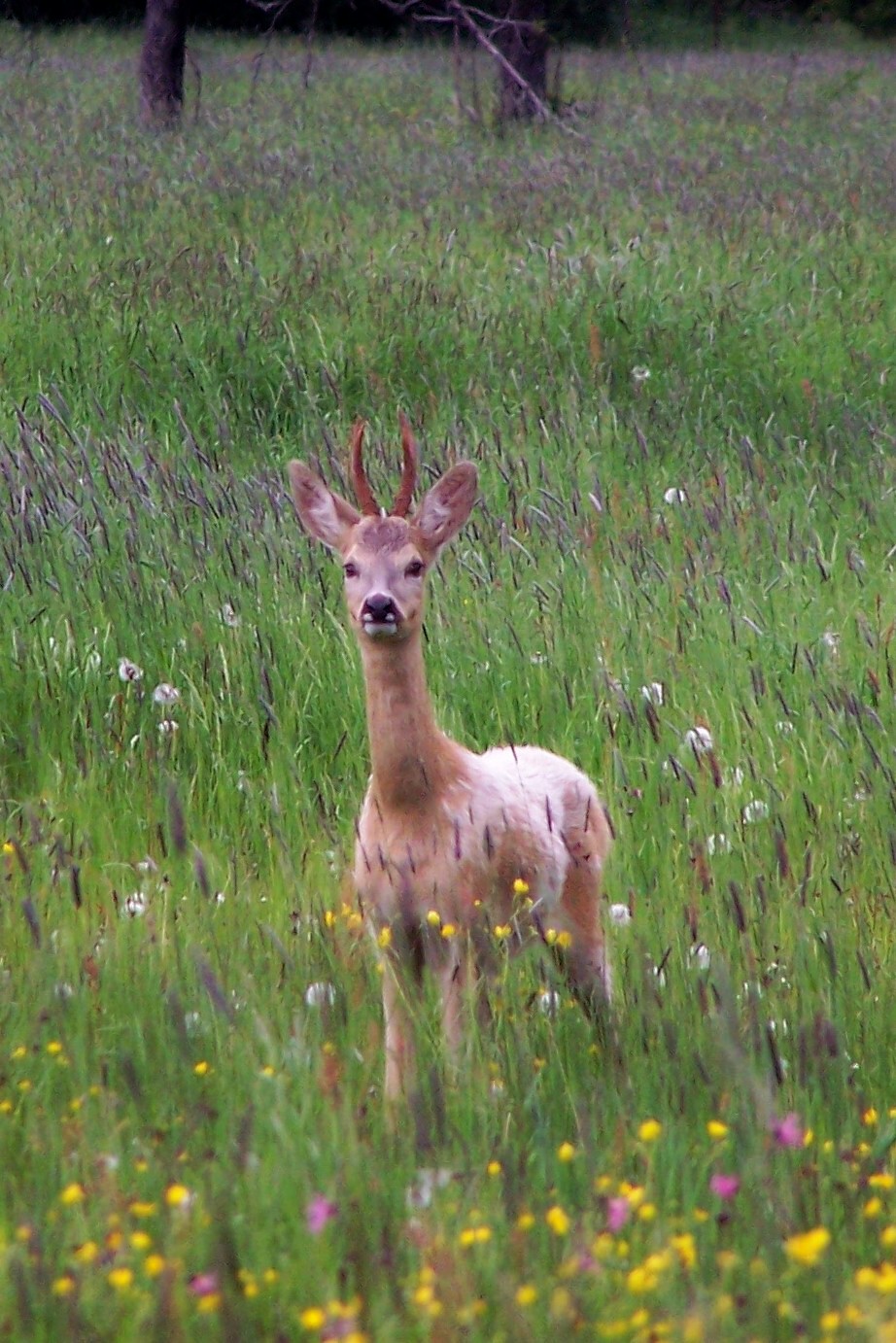 100_4896.jpg