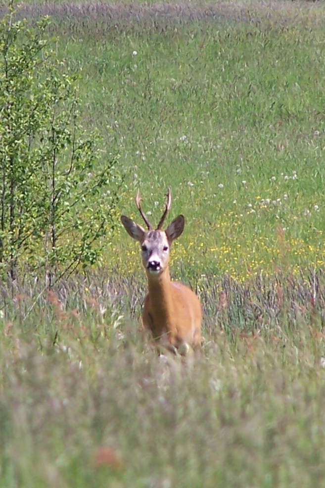 100_4998.jpg