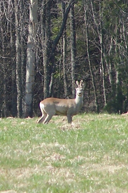 100_4422.jpg