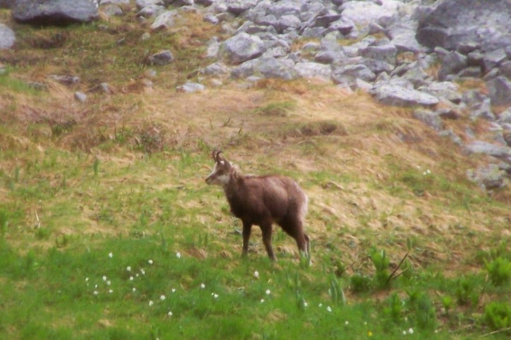 100_5215.jpg