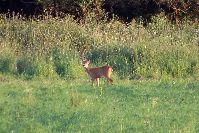 100_5515.jpg