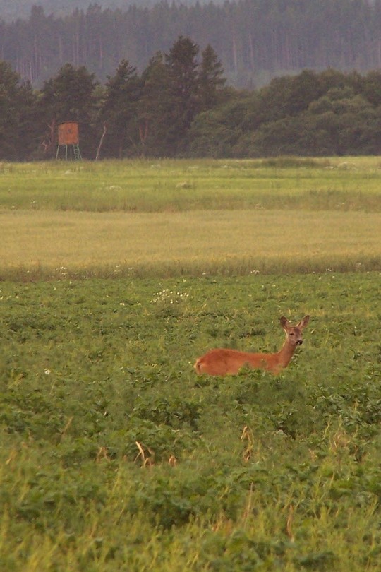 100_5569.jpg