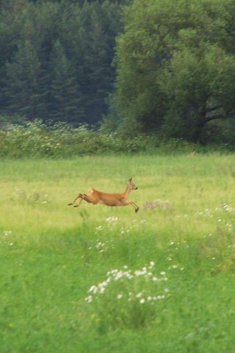 100_5574.jpg