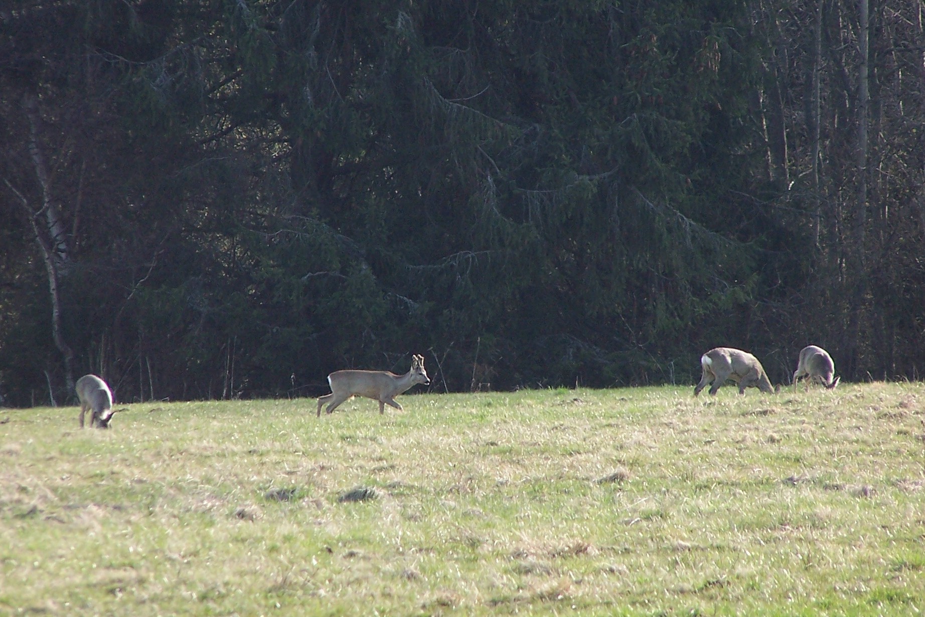 100_4460.jpg