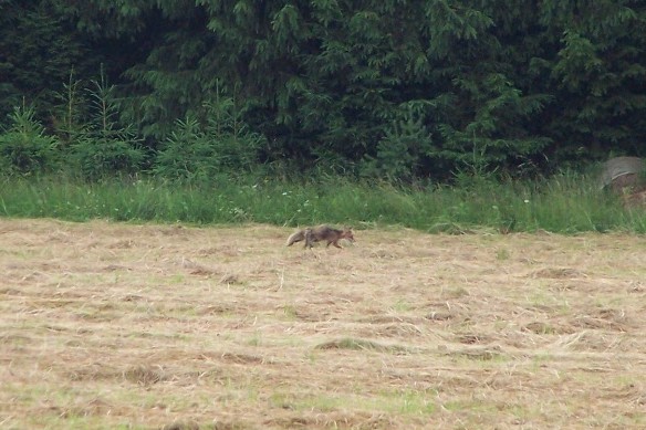 100_5590.jpg