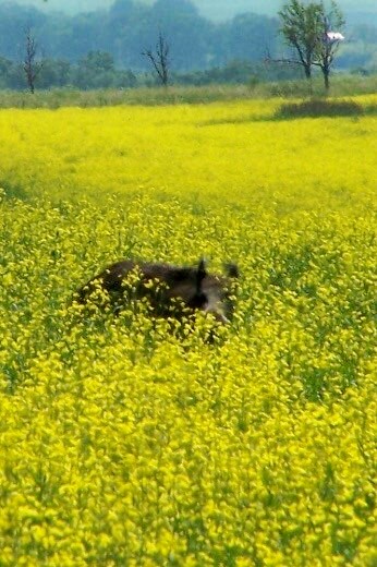 100_5583.jpg