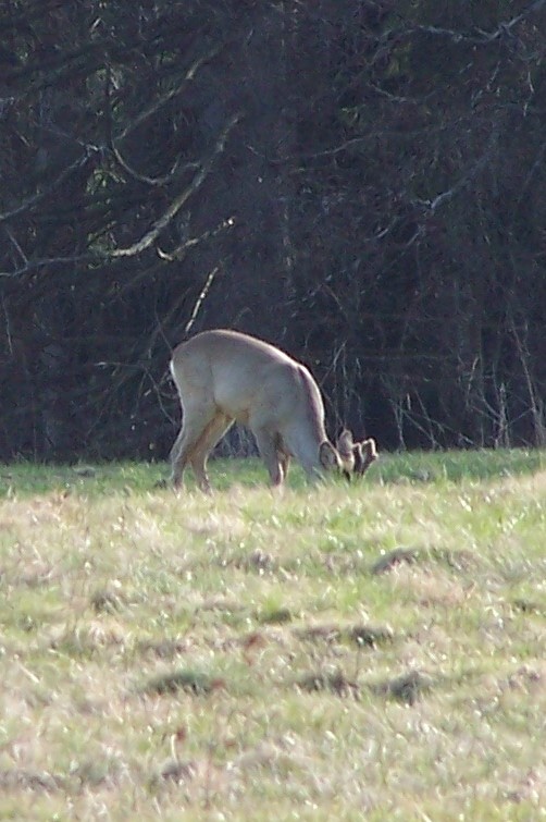 100_4466.jpg