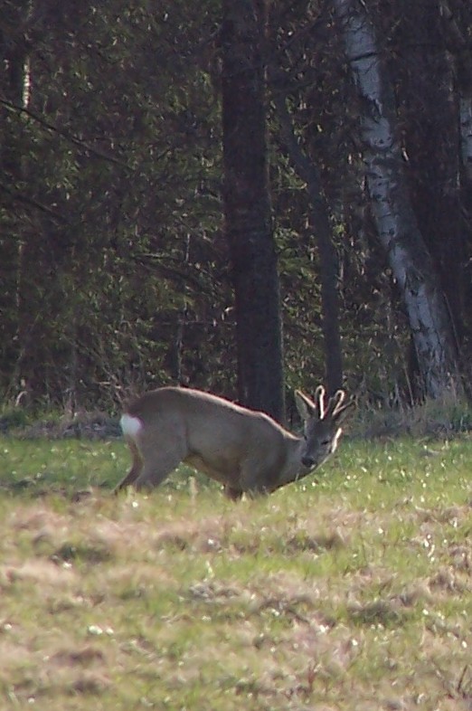 100_4468.jpg
