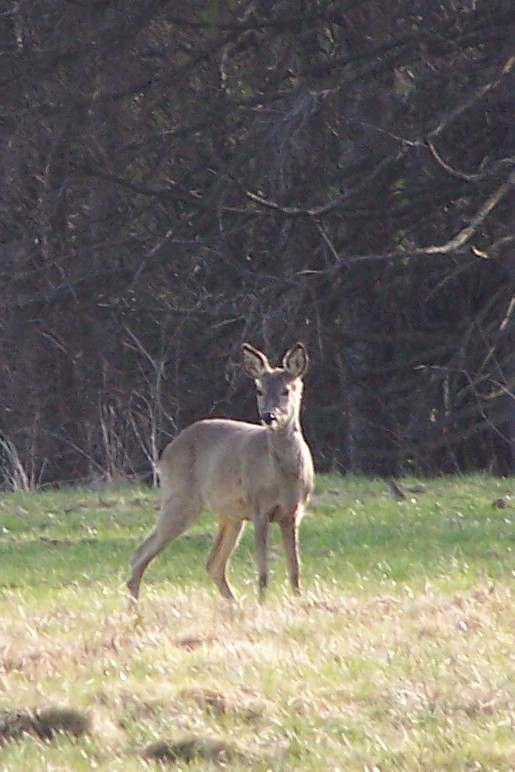 100_4469.jpg