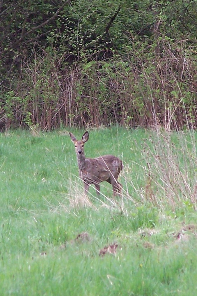 100_4632.jpg